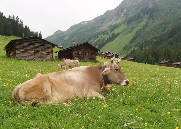 Appartement Fernblick Gaschurn